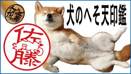 ハンコの常識を覆した「もっとネコハラ印鑑」に犬版が ハンコの常識を覆した「もっとネコハラ印鑑」に犬版が