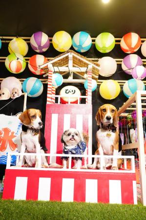 ペット写真館でもドッグランでもない、“飼い主が撮る”