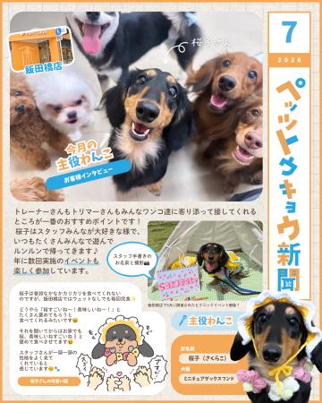 ペットと暮らす毎日をもっと楽しく！「ペッツトウキョ
