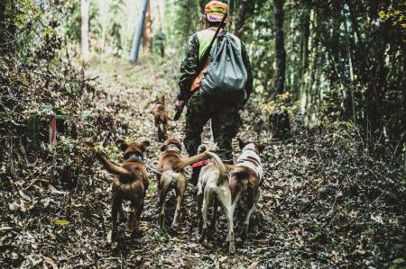 これからの里山の暮らしや生き方を模索する食と暮らし