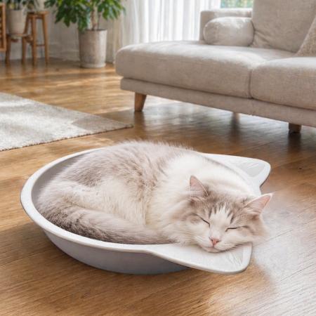 【夏の節電調査】愛猫家の74.8％がエアコン電気代に悲