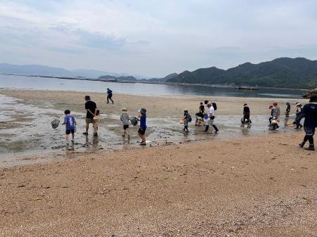 未来へつなぐ江田島の里海。“海のゆりかご”アマモ場を