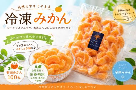 今年の夏は冷凍みかんで健康的に乗り越える!日本屈指 今年の夏は冷凍みかんで健康的に乗り越える!日本屈指