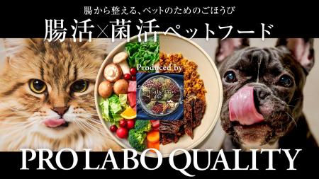 愛犬・愛猫の未来を、今日のおやつから。国産素材と82