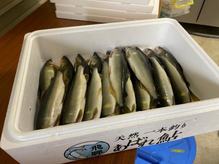 豊洲へ、7年目。天然鮎「飛騨のあばれ鮎」-解禁初日か