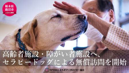 鹿沼市内の高齢者施設・障がい者施設へ、セラピードッ
