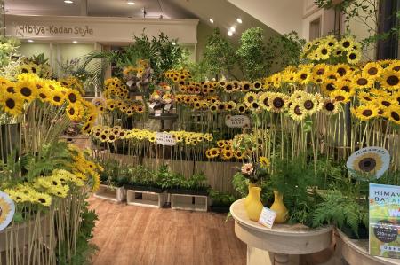 全国に“涼しいひまわり畑”が出現！日比谷花壇、店内を