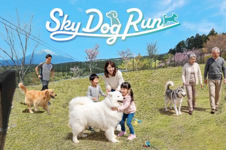 富士山・駿河湾・つり橋の絶景を愛犬と一緒に見渡す“