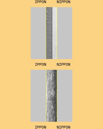 人と木の心地よい距離感を探す、巡回型ダイアローグ「