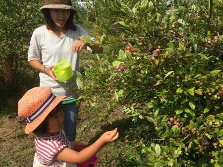 蒜山高原で楽しむ夏の味覚　休暇村蒜山高原ではブルー