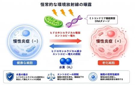 分子状水素の抗酸化・細胞保護総説 3 本が Medical Ga