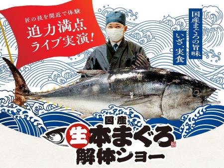 30kgの『生本まぐろ』を職人が目の前で豪快解体！激レ