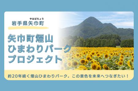 約20万本のひまわりを未来へ　矢巾町がクラウドファン