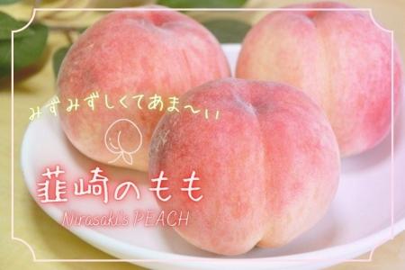 【山梨・韮崎】フルーツ王国から夏の贈り物！圧倒的な