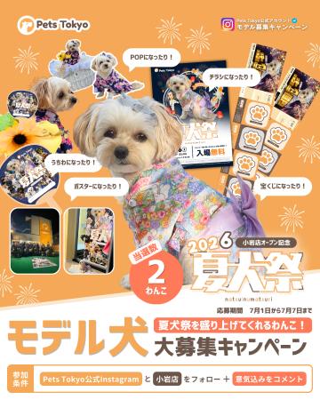Pets Tokyo、「夏犬祭2026」のメインビジュアルモデル Pets Tokyo、「夏犬祭2026」のメインビジュアルモデル