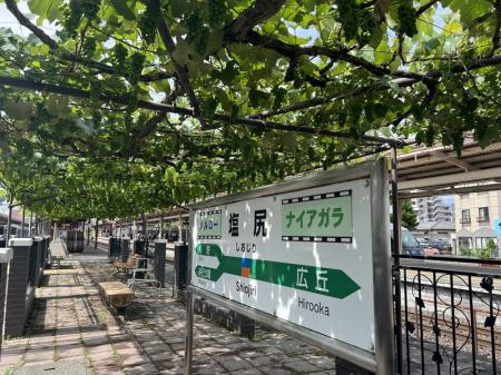 【日本でここだけ！】「駅ホームのぶどう園」色utf-8