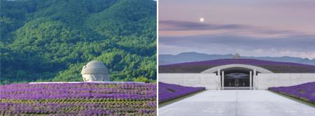 年間28万人が訪れる北海道の人気観光地「頭大仏殿」、 年間28万人が訪れる北海道の人気観光地「頭大仏殿」、