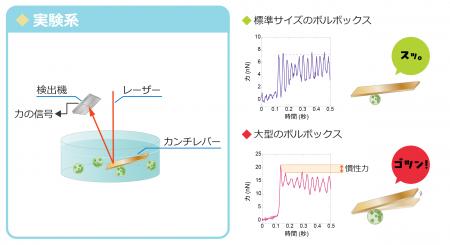 【宇部高専】微生物も「急には止まれない」！？