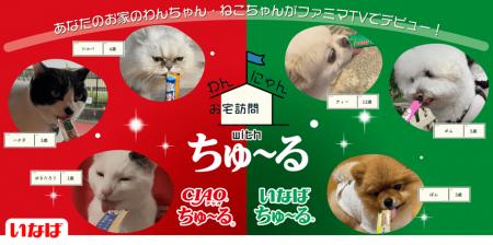 いなばペットフード あなたのわんちゃん・ねこちゃん いなばペットフード あなたのわんちゃん・ねこちゃん