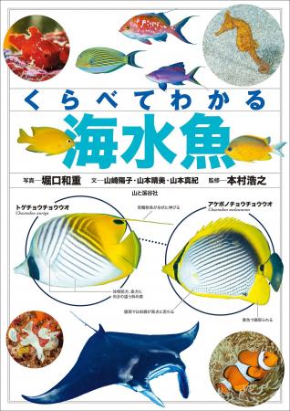 日本近海で見られる海水魚を見分けられる！ 大好評の