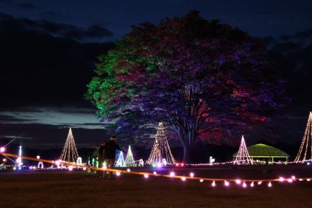 サマーイルミネーション開催（国営越後丘陵公園）