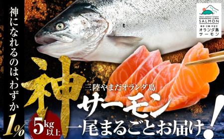 【岩手県山田町 オランダ島サーモン】全体から1%し 【岩手県山田町 オランダ島サーモン】全体から1%し