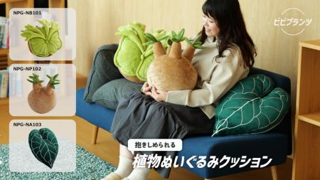 【抱きしめられるビカクシダ】3種の珍奇植物がまさか