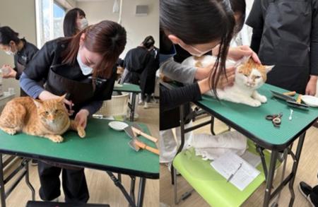 「猫が好き」を仕事に。国際アート&デザイン大学校「 「猫が好き」を仕事に。国際アート&デザイン大学校「