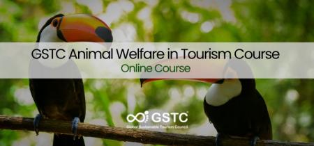 GSTC、観光における「動物福祉」の国際オンライン研修 GSTC、観光における「動物福祉」の国際オンライン研修