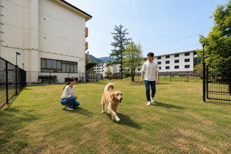 大型犬との旅をもっと快適に　「ゆるり奥日光with DOG