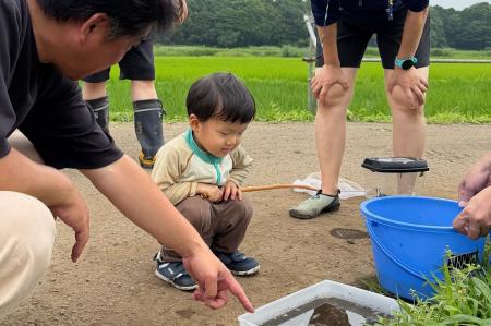 手作り「ビオトープ」で生きもの調査　カルガモも飛来