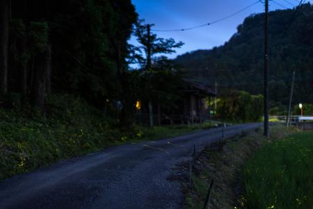 蛍の季節が終わり、里山の夏へ。千葉・富津の和心村が 蛍の季節が終わり、里山の夏へ。千葉・富津の和心村が