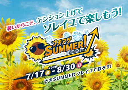 【横須賀・ソレイユの丘】10万本のヒマワリの絶景と50