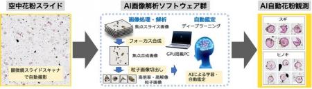 AI×専門家が強調した人間参加型AIアプローチで花粉症 AI×専門家が強調した人間参加型AIアプローチで花粉症