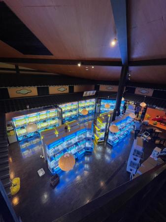 静岡県最大級の複合温浴施設「リバティーリゾート久能 静岡県最大級の複合温浴施設「リバティーリゾート久能