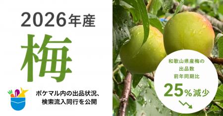 【2026年産 梅】ポケットマルシェ 和歌山県産梅の出品 【2026年産 梅】ポケットマルシェ 和歌山県産梅の出品