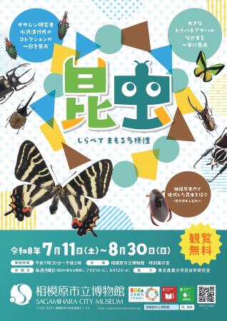 昆虫好きあつまれ！相模原市立博物館で企画展「昆虫 