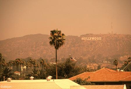 【OFF SESSiON × HOLLYWOOD RANCH MARKET】別注フォト