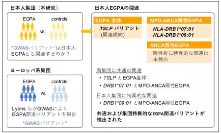 国の指定難病「好酸球性多発血管炎性肉芽腫症」の日本 国の指定難病「好酸球性多発血管炎性肉芽腫症」の日本