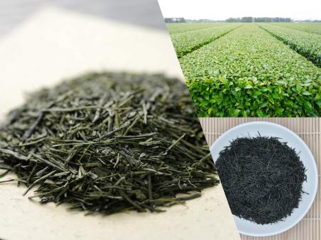 「日本茶」をはじめとする3産品を、地理的表示（GI）