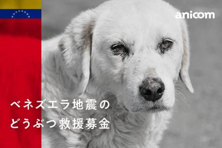 『ベネズエラ地震のどうぶつ救援募金』実施のお知らせ 『ベネズエラ地震のどうぶつ救援募金』実施のお知らせ