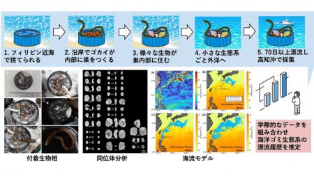 プラスチック製ボトルキャップに乗ったゴカイ達utf-8 プラスチック製ボトルキャップに乗ったゴカイ達utf-8