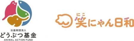 WHDCアクロディアの保護猫応援プロジェクト「笑にゃん