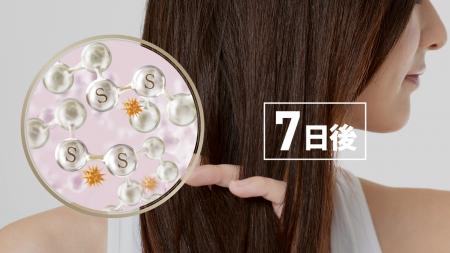 ヘアカラー後に実感するダメージのしくみを世界で初め