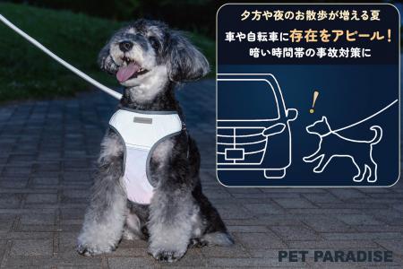 猛暑で増加する早朝・夜間のペットとのお散歩をもっと