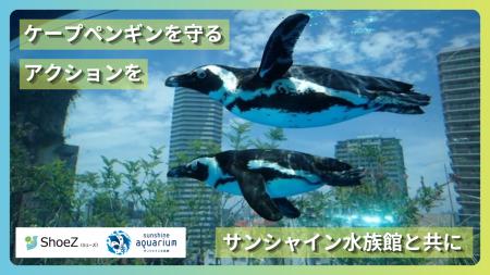 ケープペンギンの保全に関するクラウドファンディング ケープペンギンの保全に関するクラウドファンディング