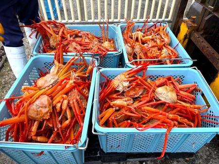 【能登半島地震 復興支援】輪島のカニ漁を救え!賞味 【能登半島地震 復興支援】輪島のカニ漁を救え!賞味