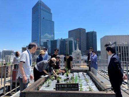 4社連携で食品ロスを活用した屋上菜園プロジェクトを 4社連携で食品ロスを活用した屋上菜園プロジェクトを