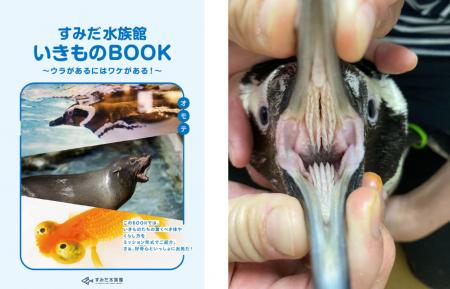 【すみだ水族館】すみだ水族館の夏は“発見”がいutf-8