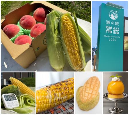 常総、かぶりつき宣言 『初夏のあまぁ~い収穫utf-8 常総、かぶりつき宣言 『初夏のあまぁ~い収穫utf-8